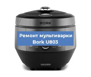 Замена крышки на мультиварке Bork U803 в Перми